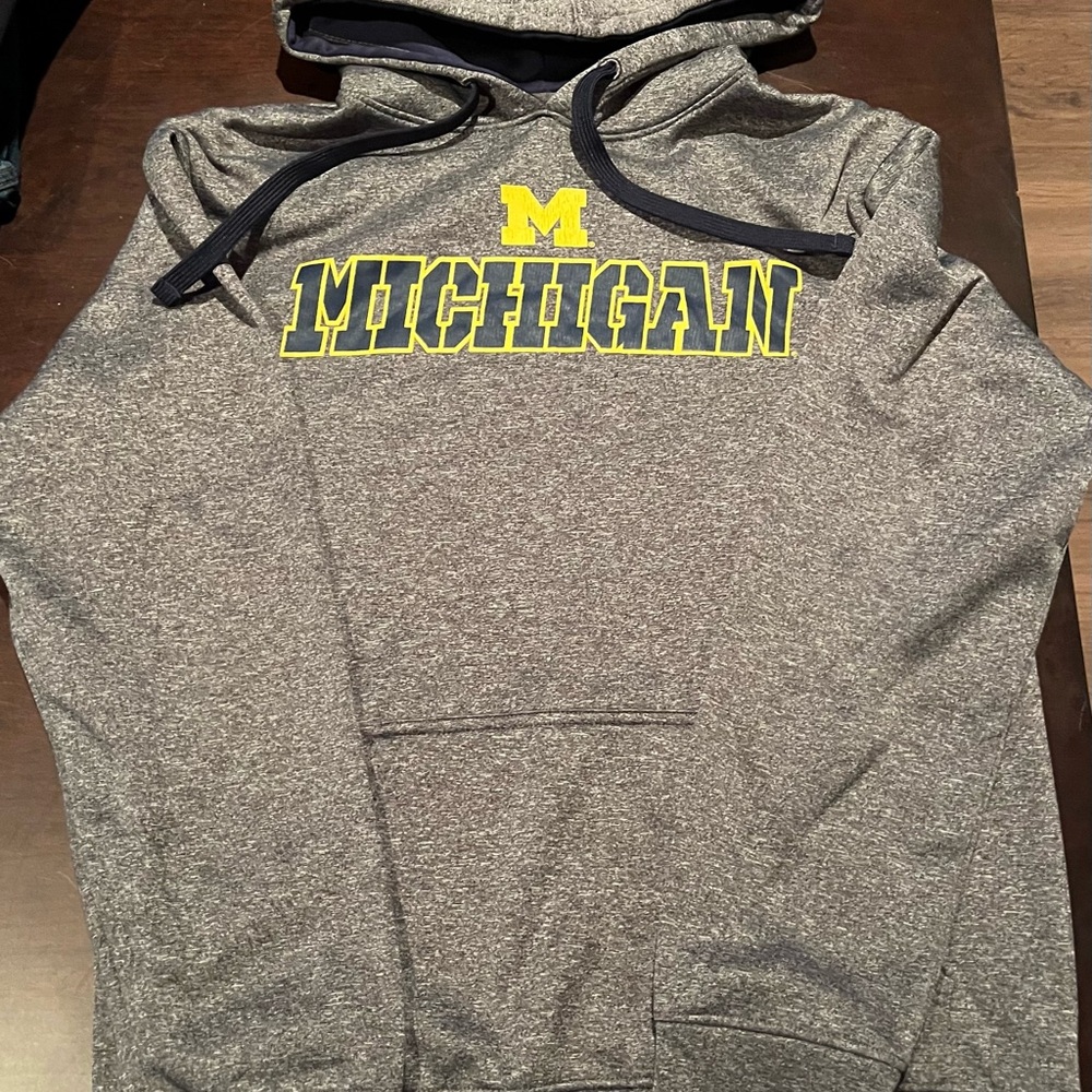 Gray Sweatshirt with Hood
